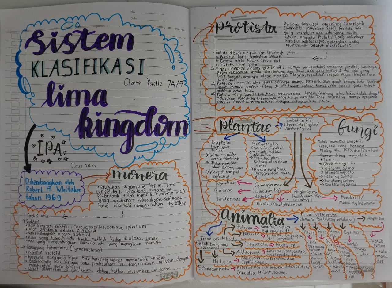 Sampul